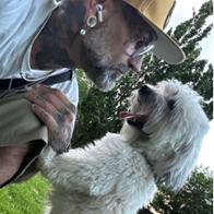 Francisco Cortavitarte cruz