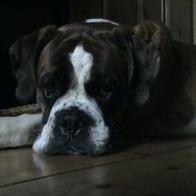 Aida Antolin Fernandez