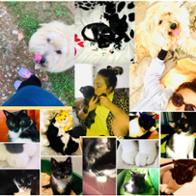 Judith Rosillo Mosquera