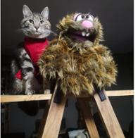 Fabienne Vandersyppe