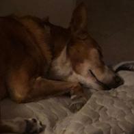 Isa Fernández Rodríguez