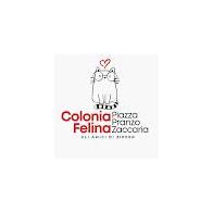 Colonia Piazza Pranzo Zaccaria