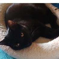 Ana Corrales Viscasillas