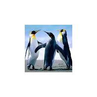 María del Carmen Lorenzo