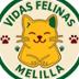 Vidas Felinas Melilla
