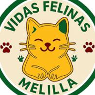Vidas Felinas Melilla