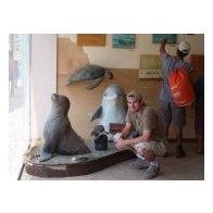 Asier Rodriguez saiz