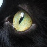 Inma Martin Almendros