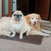 Estefanía Pérez Abalo