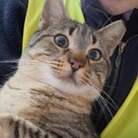 Monica Coscojuela Izquierdo