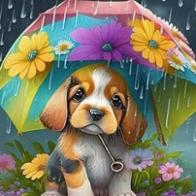 Maria Teresa Casanova Rigat