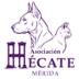 Asociación Hécate Mérida