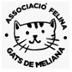 Associació de gats  Meliana