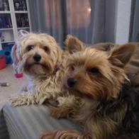 Marta Gómez Garrido